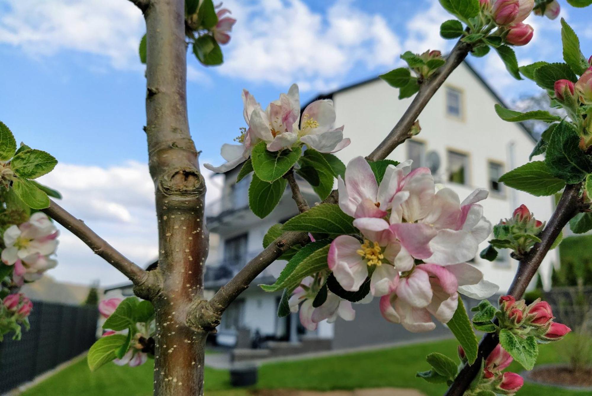 Kleine Auszeit Lägenhet Cochem Exteriör bild